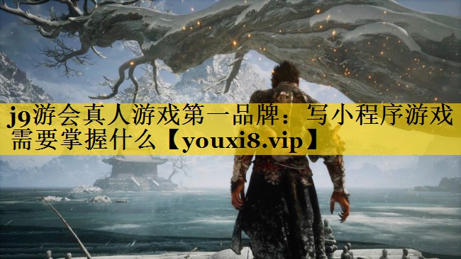 写小程序游戏需要掌握什么